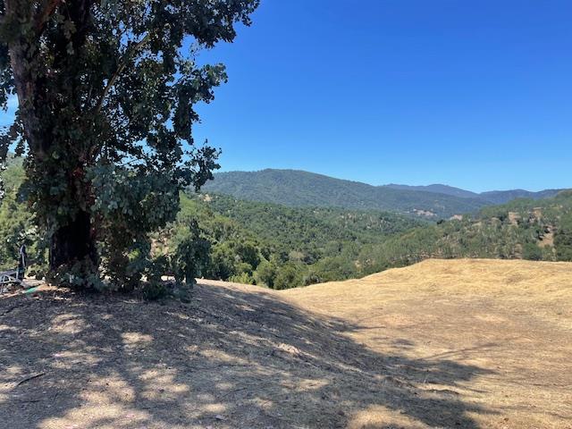 20803 Cachagua RD