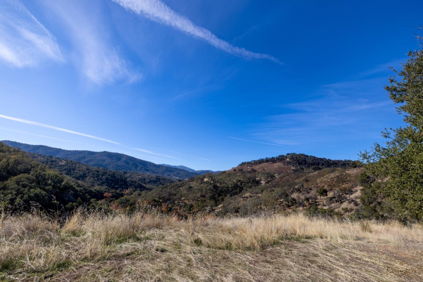 20803 Cachagua RD
