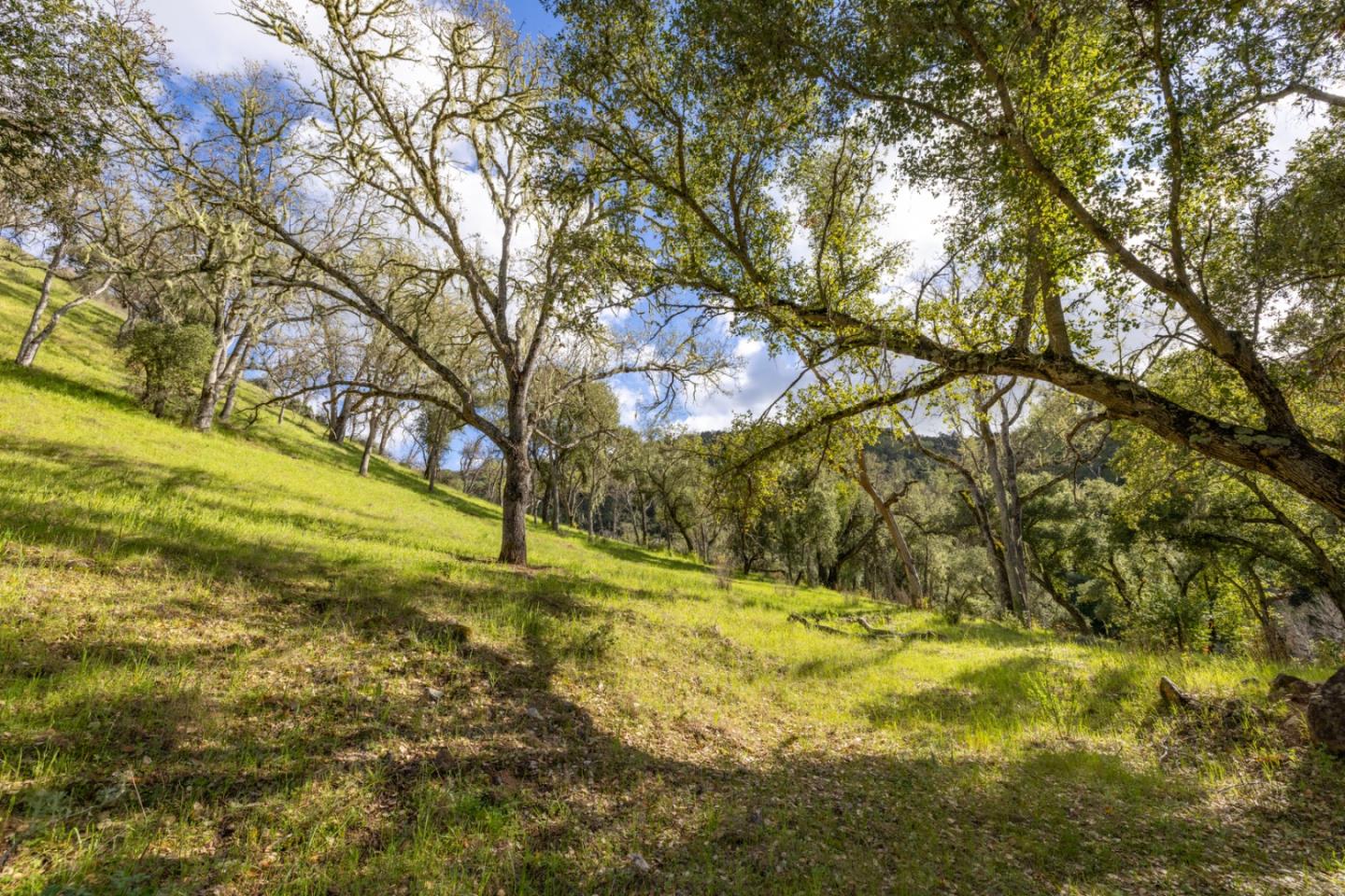 0 Cachagua Road