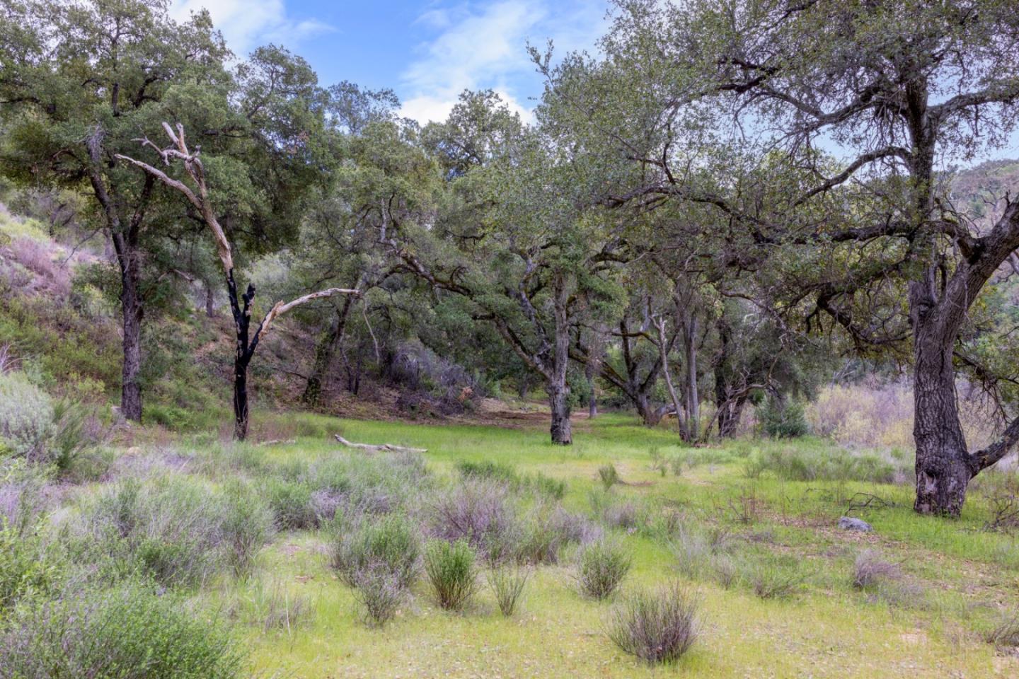 0 Cachagua Road