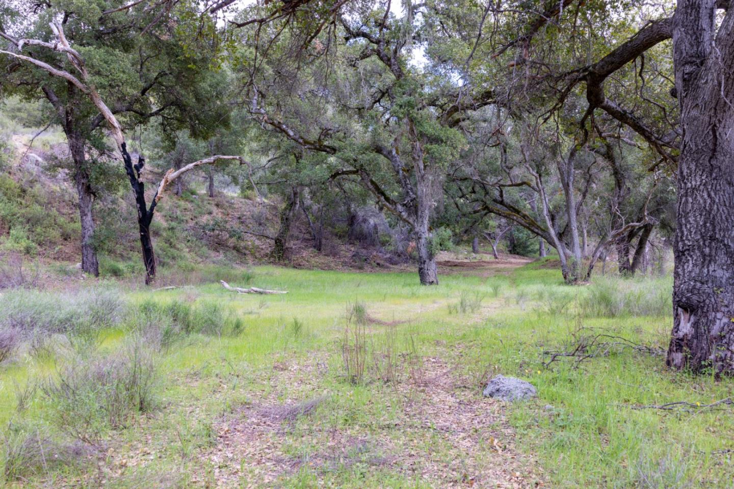 0 Cachagua Road