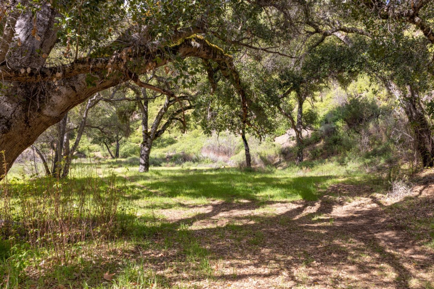 0 Cachagua Road