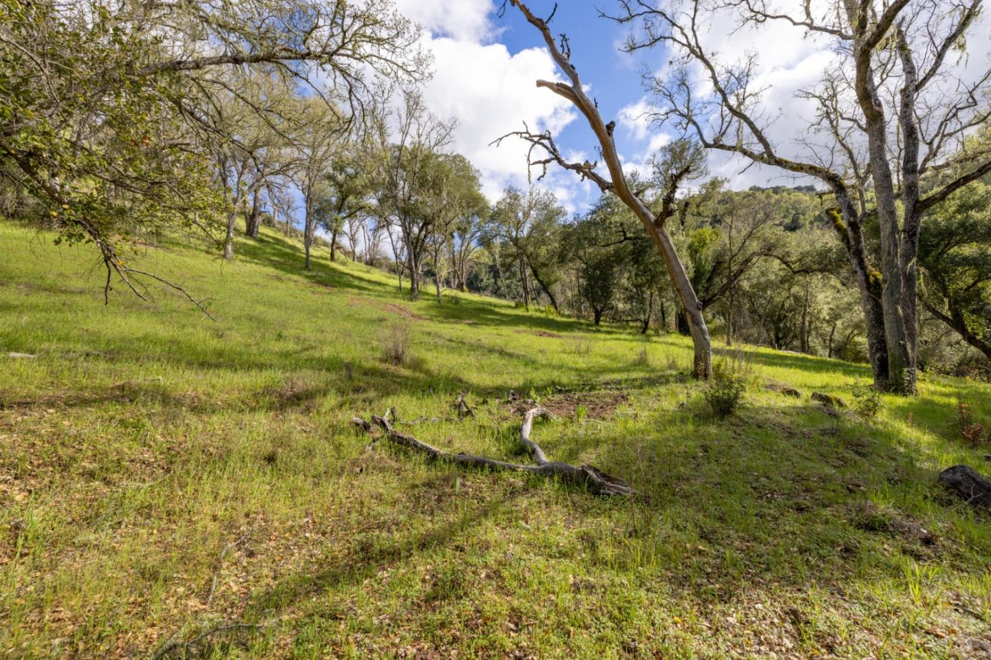 0 Cachagua Road