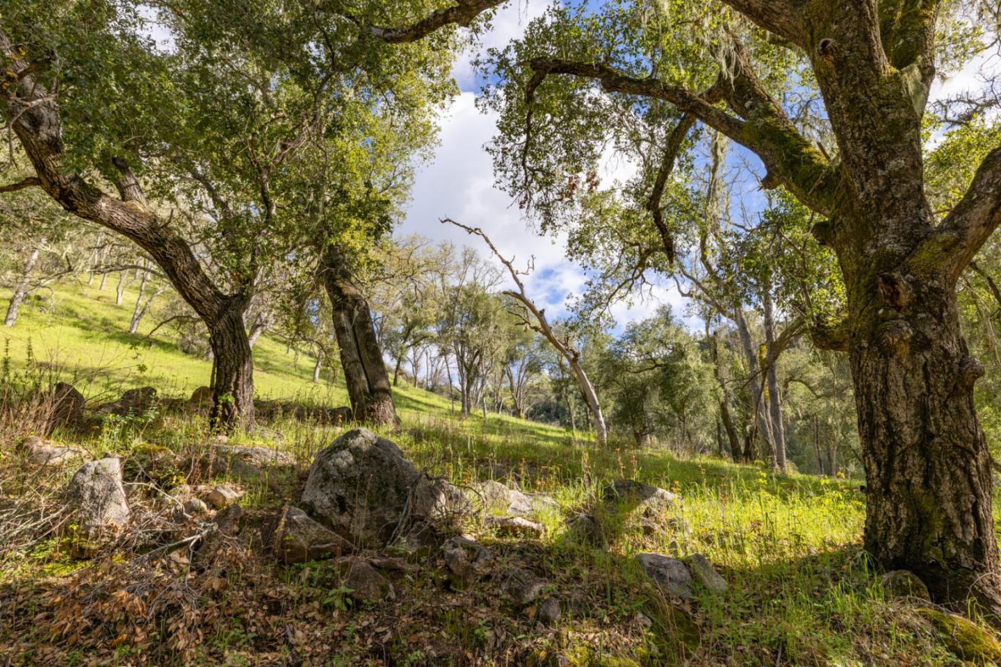 0 Cachagua Road