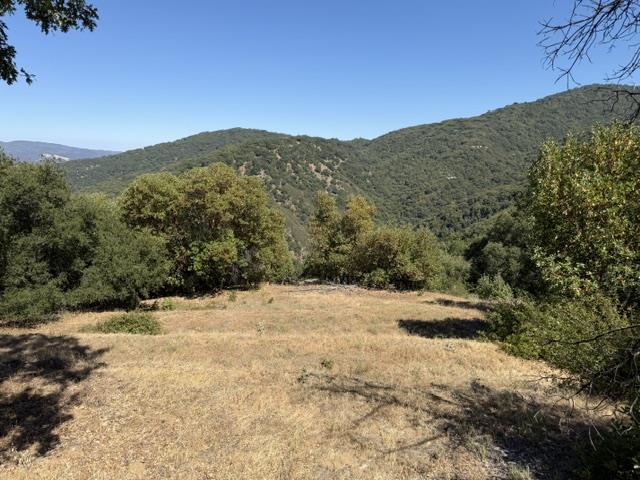39700 Laurel Springs Road