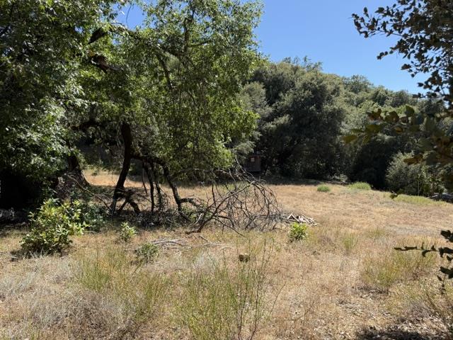 39700 Laurel Springs Road