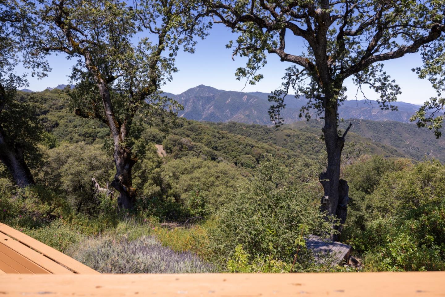 39700 Laurel Springs Road