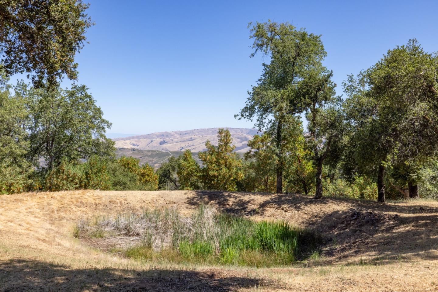 39537 Laurel Springs