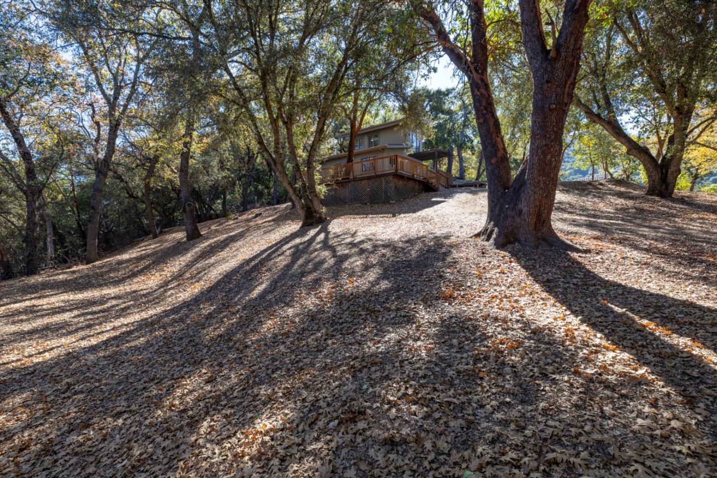 39207 Tassajara RD
