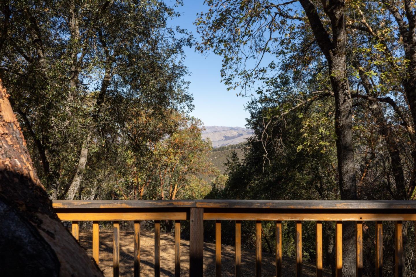 39207 Tassajara RD