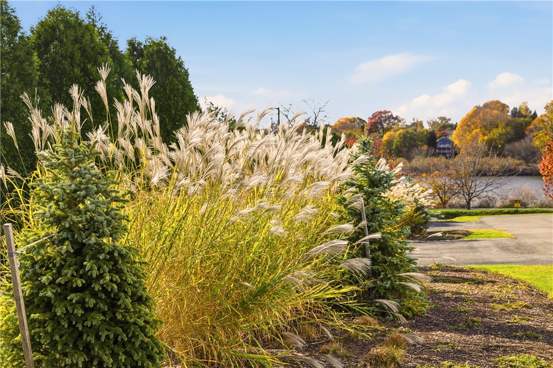 55 John Clarke Road 3