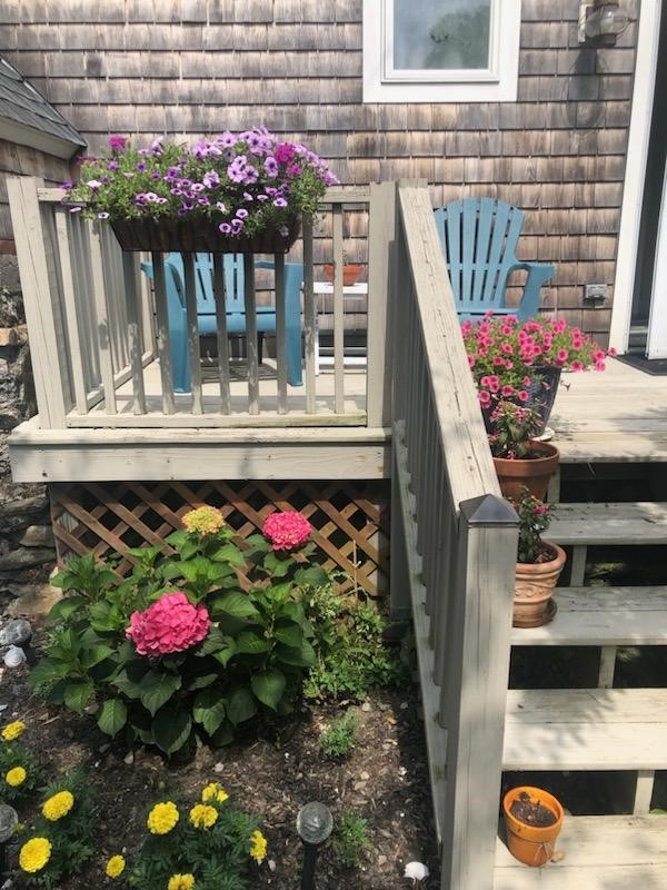 12 Callender Avenue 1