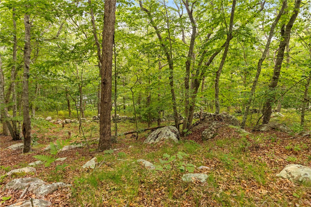 47 Buckeye Brook Road
