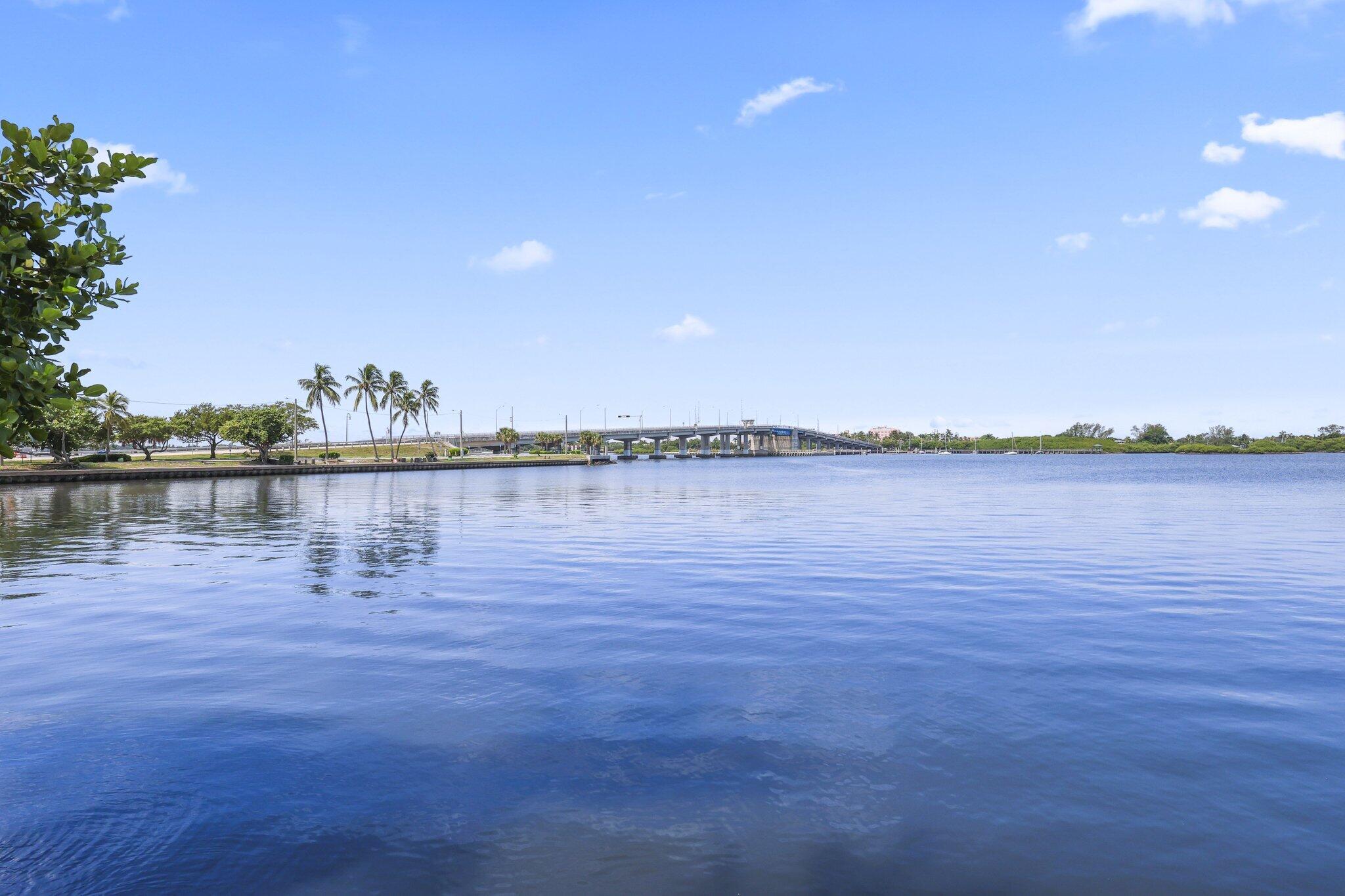 Waterfront view across calm water toward a palm-lined shore and low bridge.