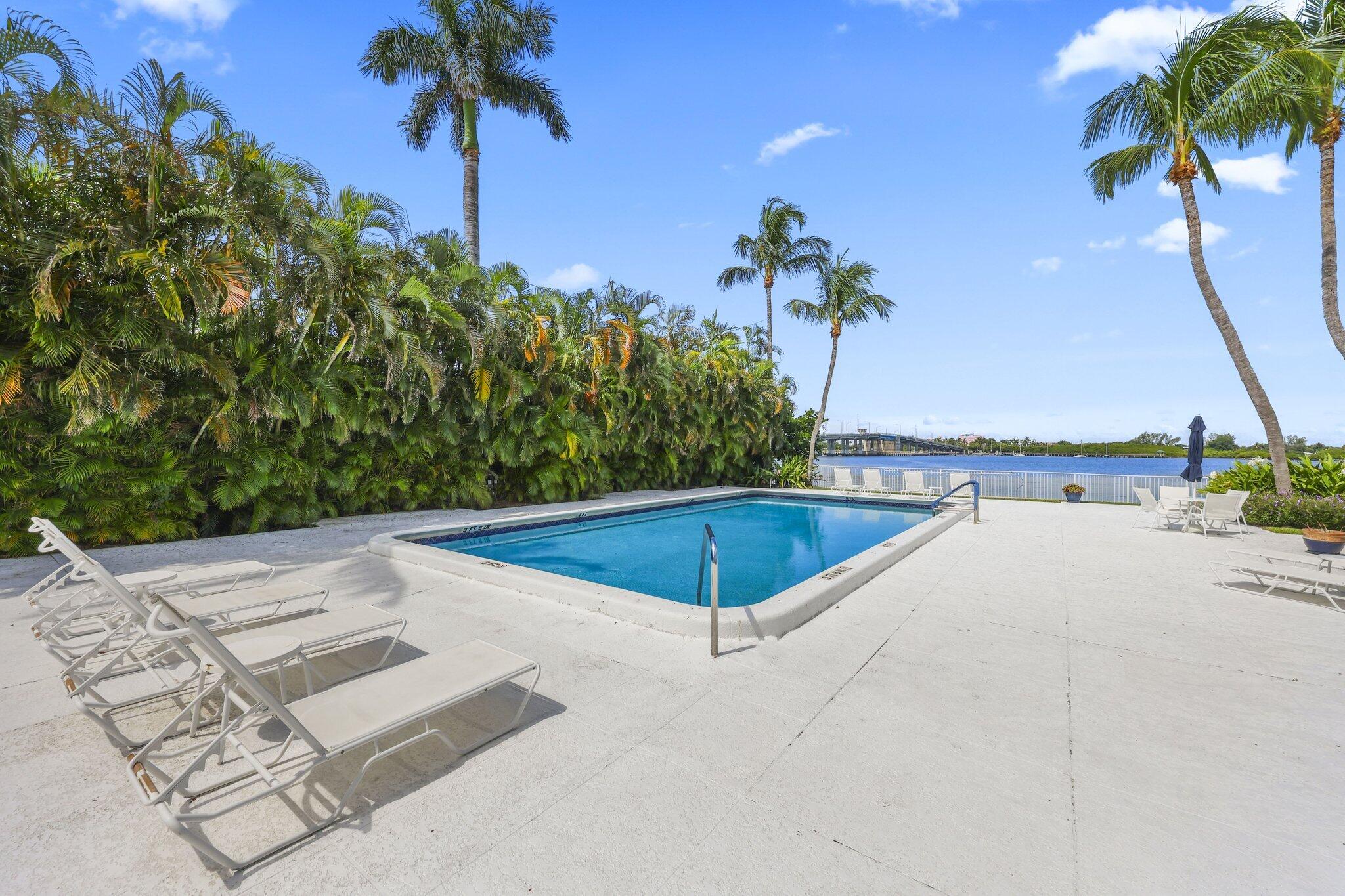 Outdoor pool surrounded by lounge chairs and palms, with a waterway and bridge beyond.