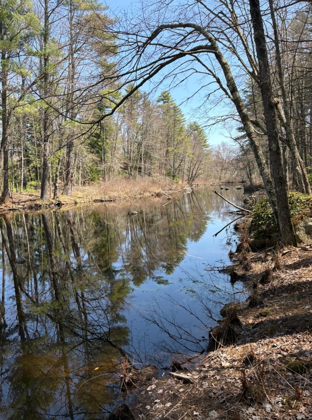 Map 419 Lot 41 Old Candia Road