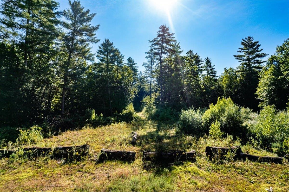 Map 419 Lot 41 Old Candia Road