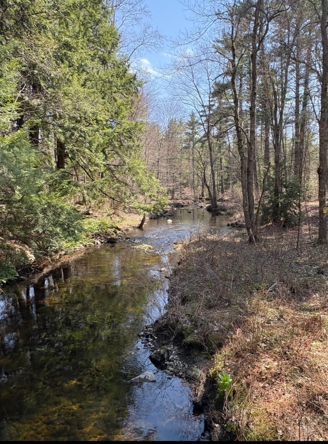 Map 419 Lot 41 Old Candia Road