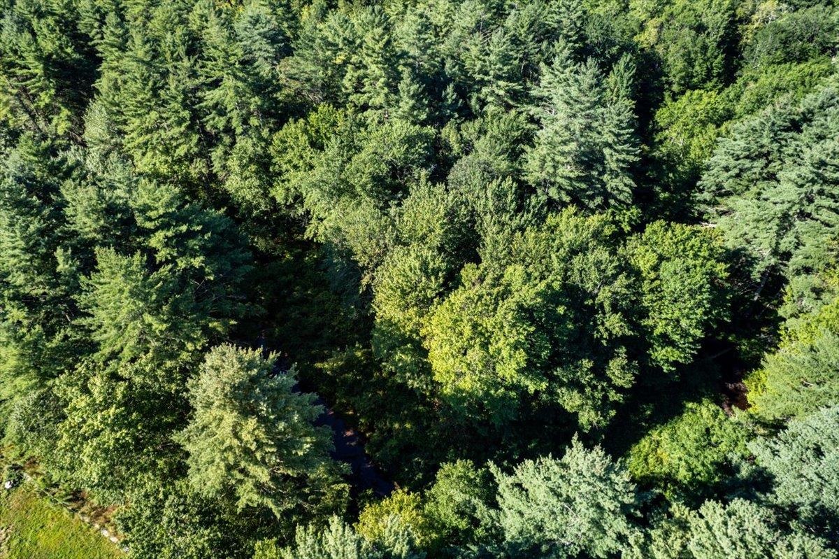 Map 419 Lot 41 Old Candia Road