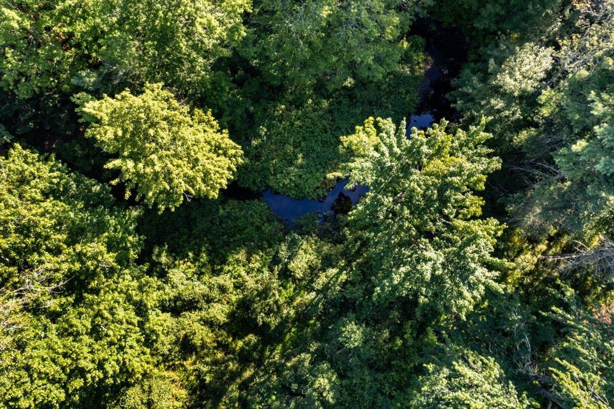 Map 419 Lot 41 Old Candia Road