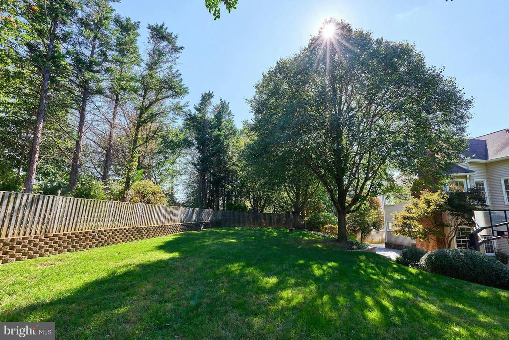 2561 HOLLY MANOR DRIVE