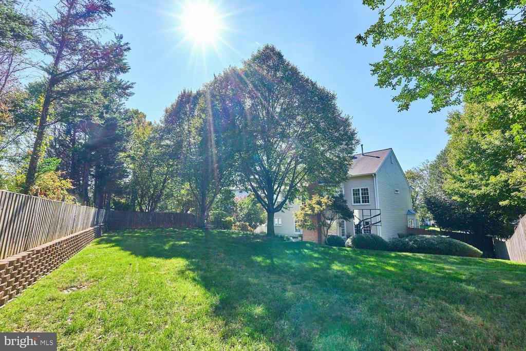 2561 HOLLY MANOR DRIVE