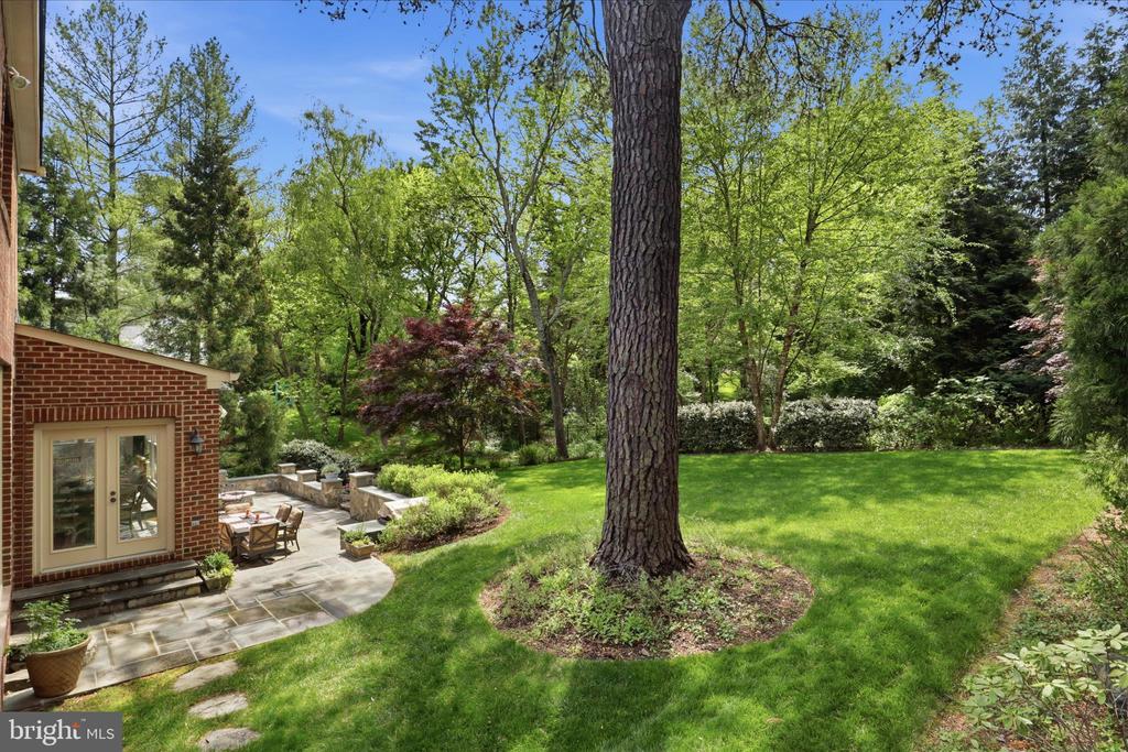 6441 GEORGETOWN PIKE
