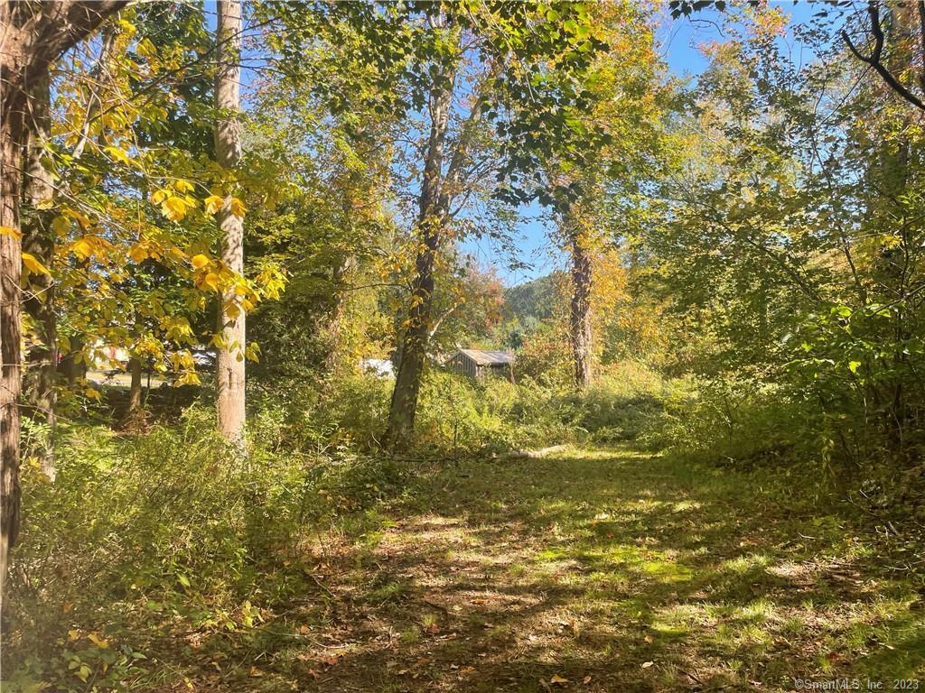 62 Bishop Crossing Road