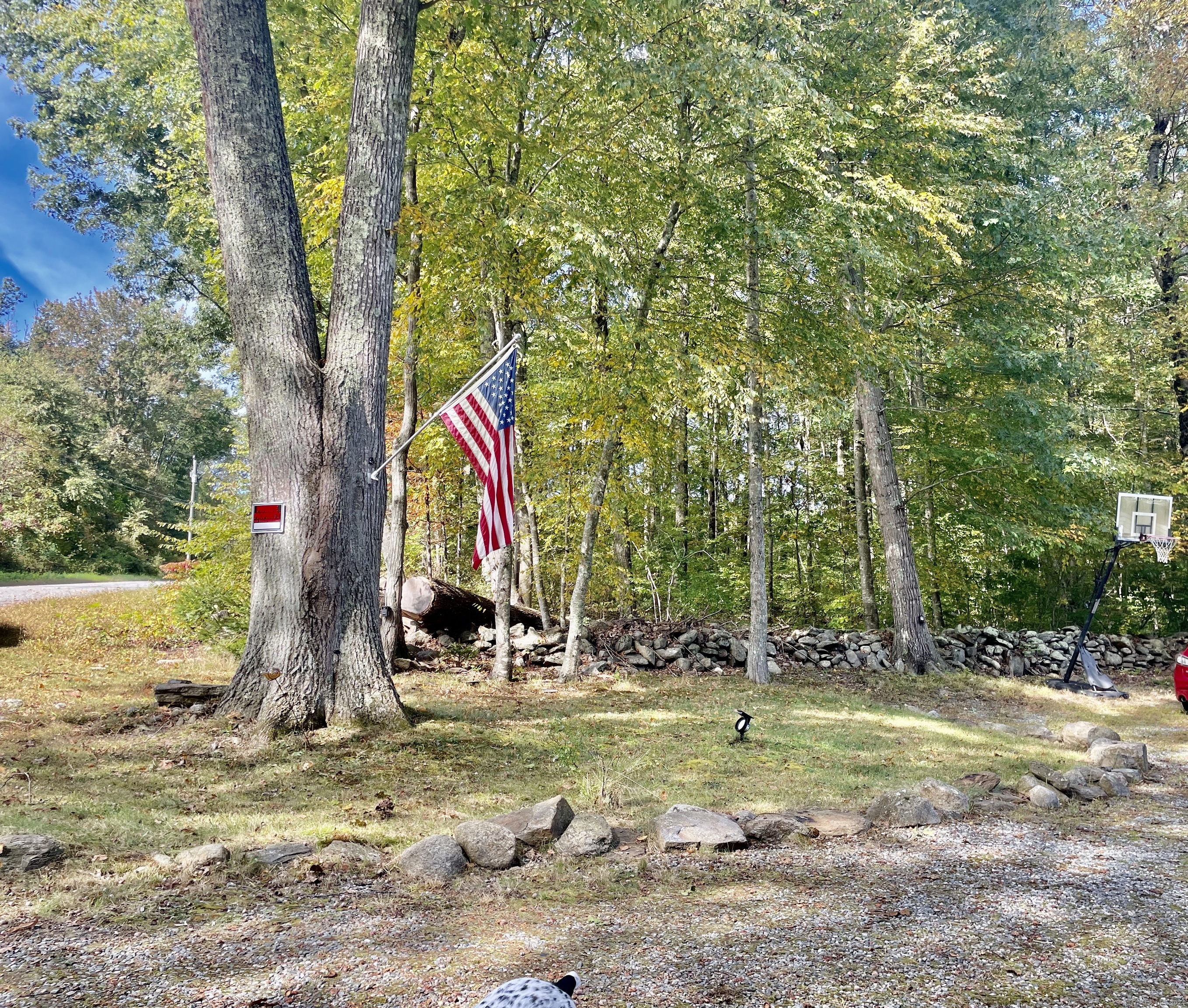 162 Cedar Swamp Road