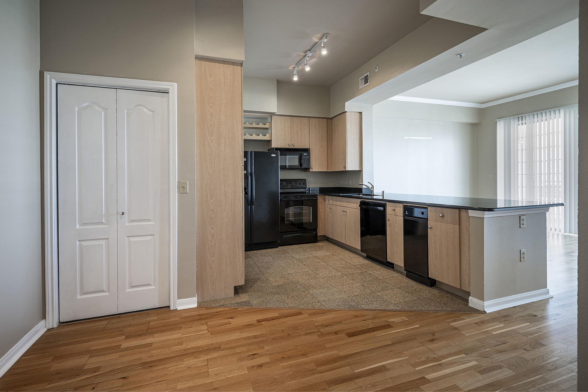 3225 Turtle Creek Boulevard 1532