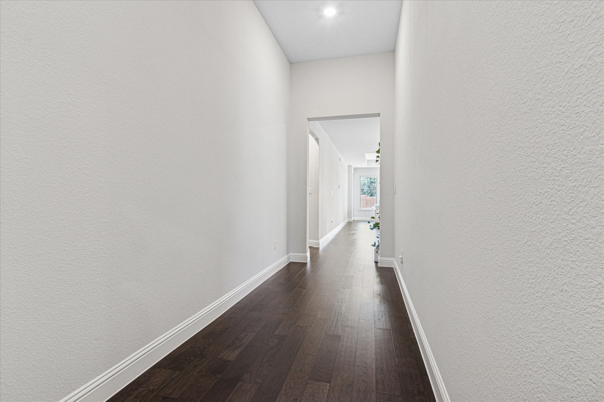 3307 Ashlar Court