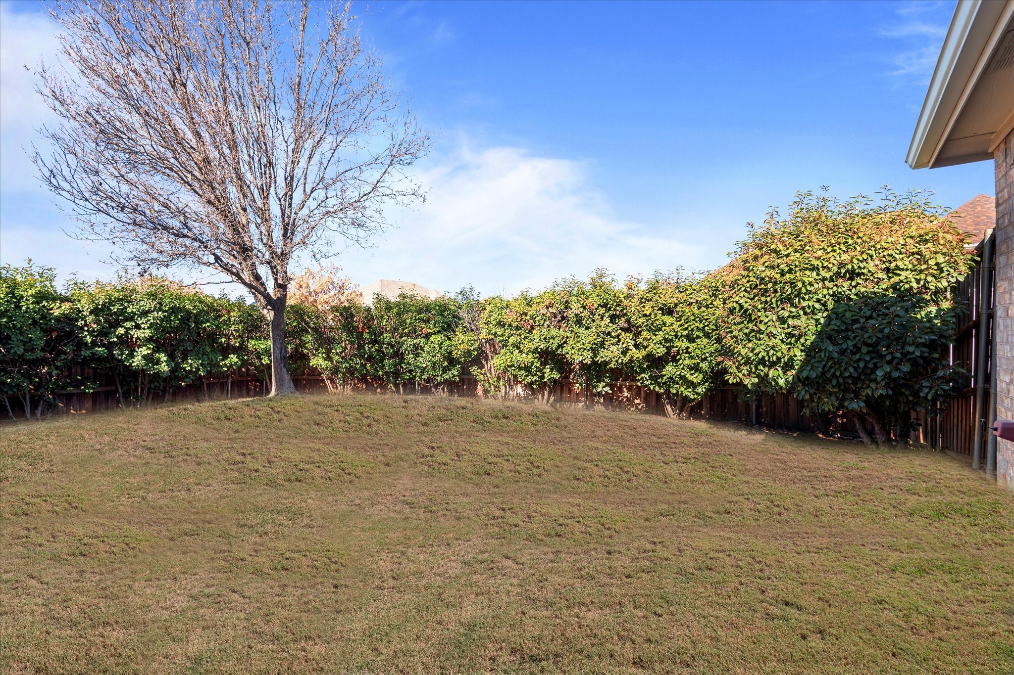 1008 Talley Lane