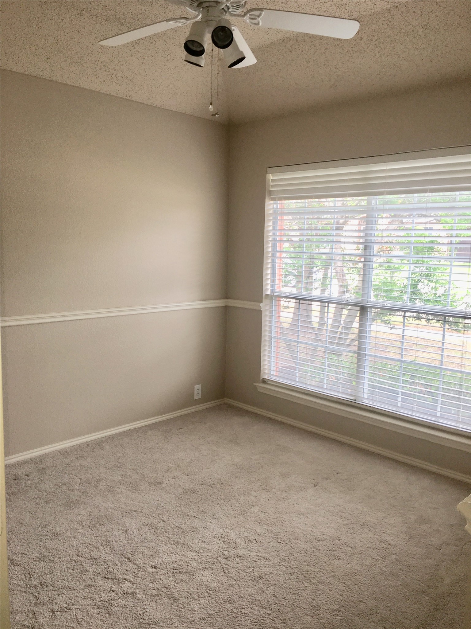 10909 Reisling Drive