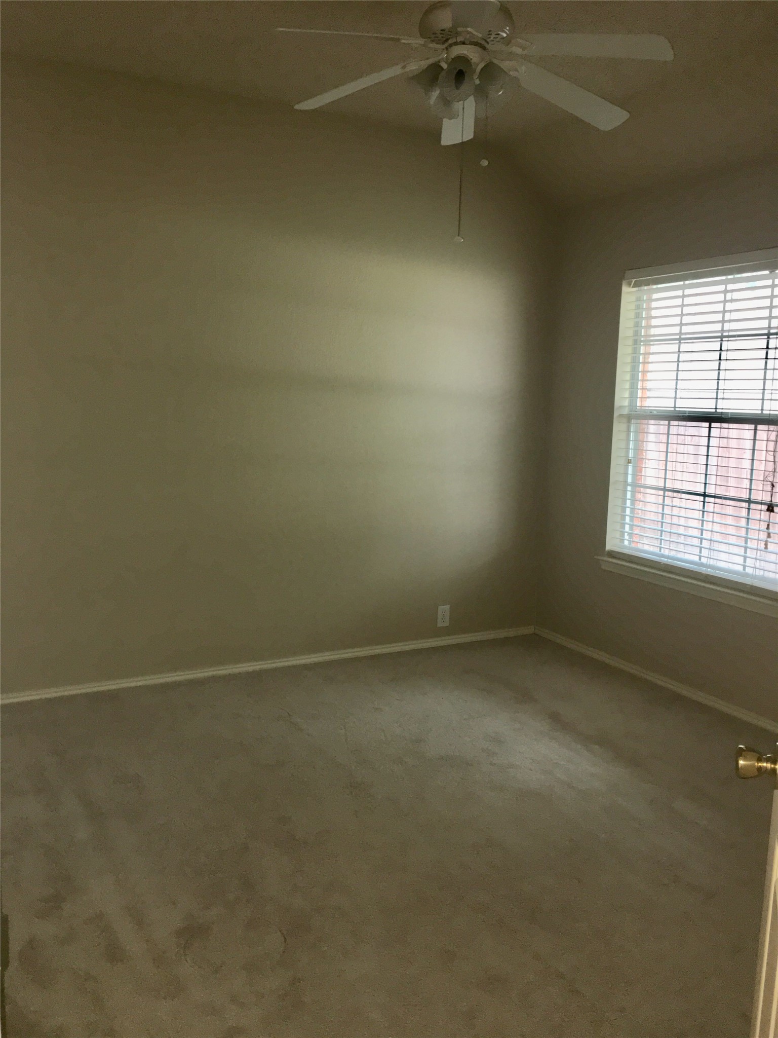 10909 Reisling Drive