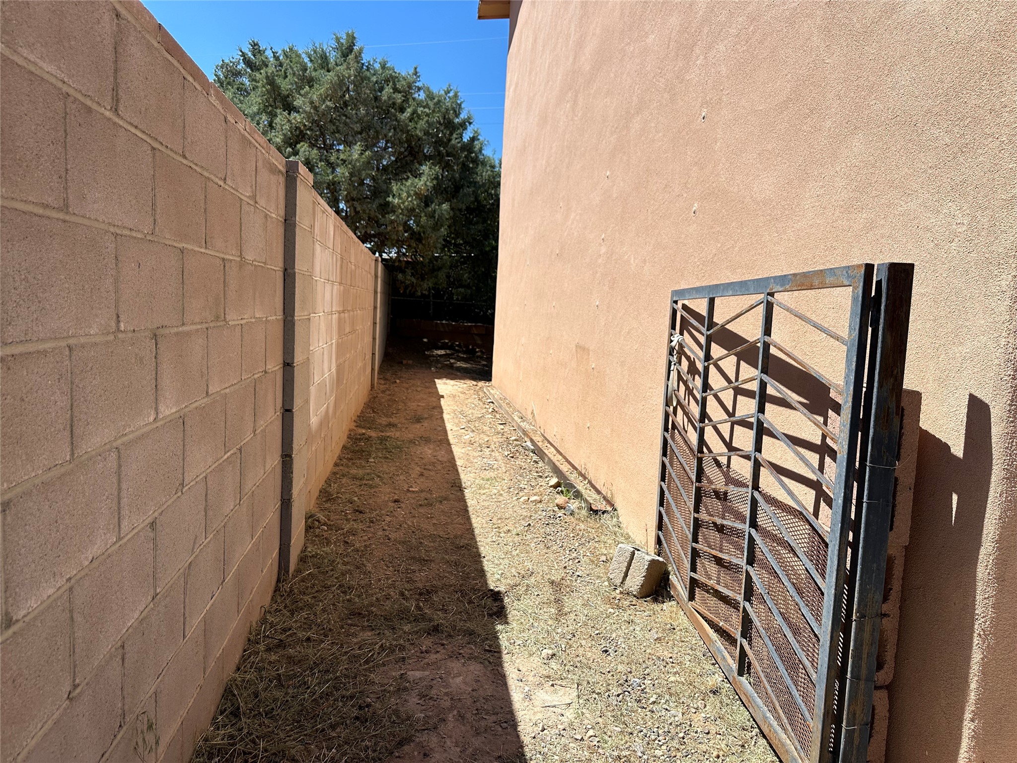 6487 Calle Kryshanna