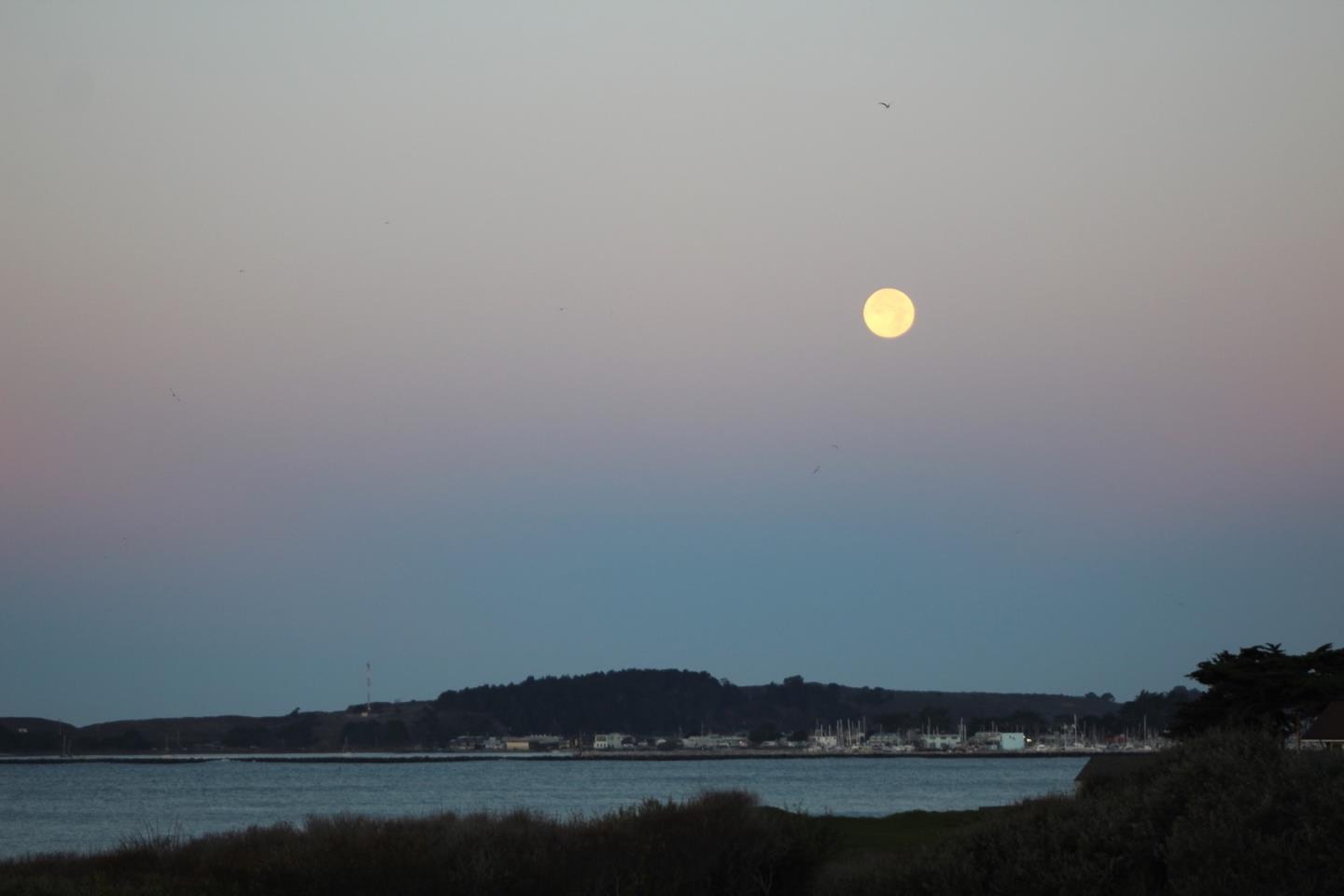 206 Washington Boulevard