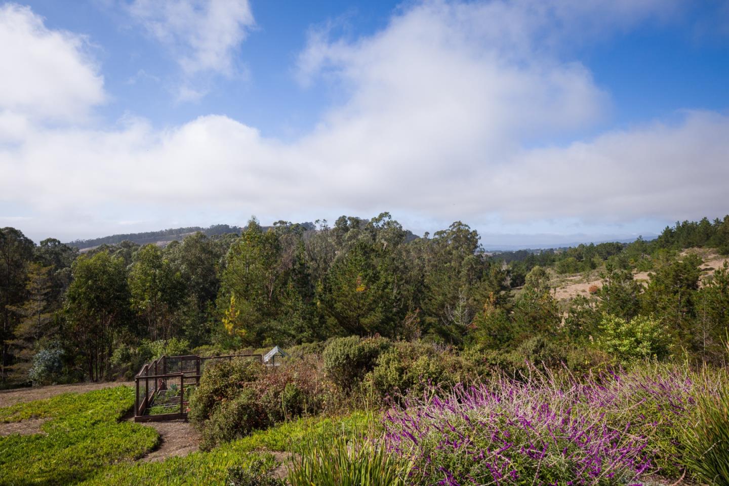 2165 Higgins Canyon Road