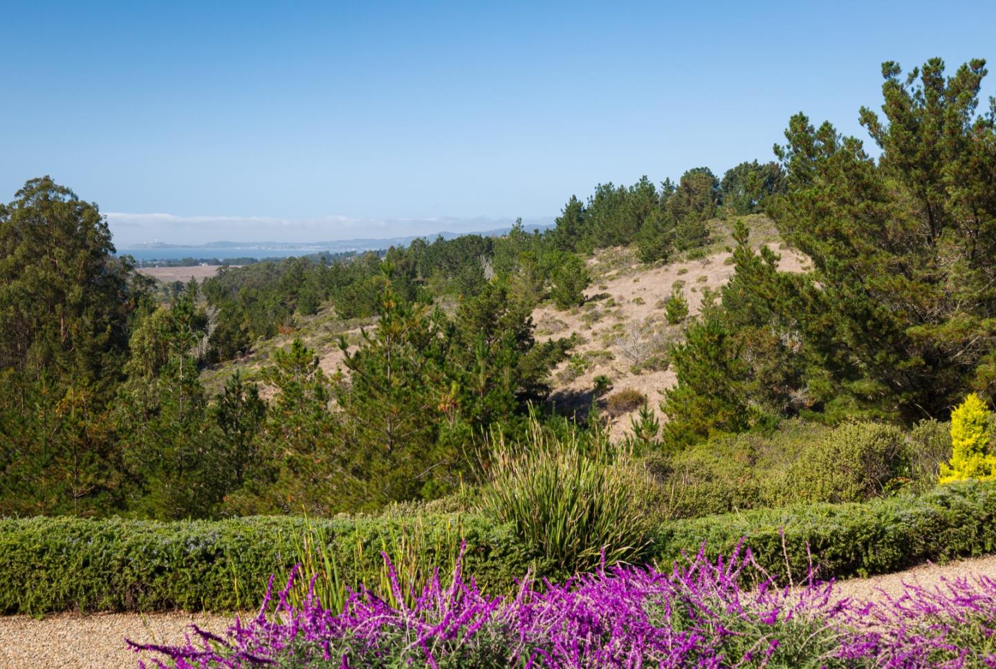 2165 Higgins Canyon Road