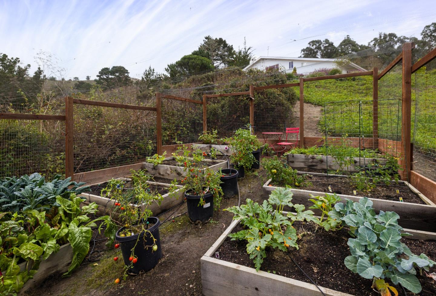 2165 Higgins Canyon Road