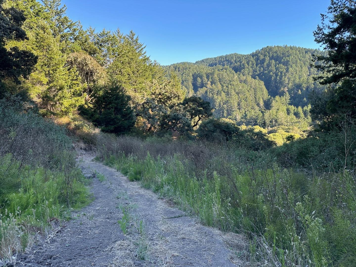 4257 Pescadero Creek Road