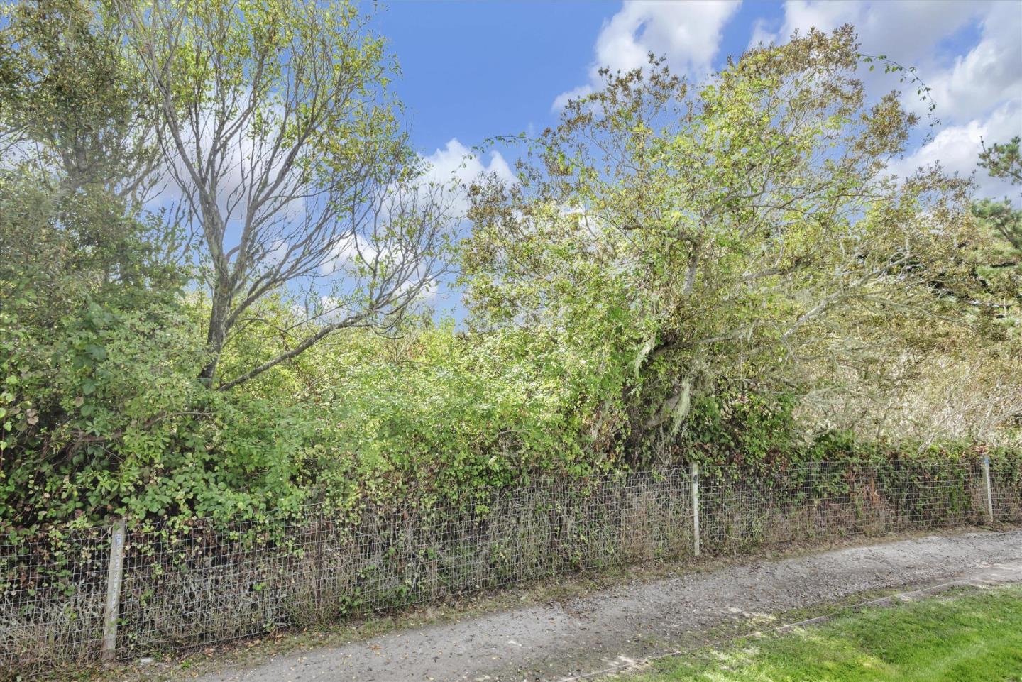 101 Creekside Drive Unit: 101