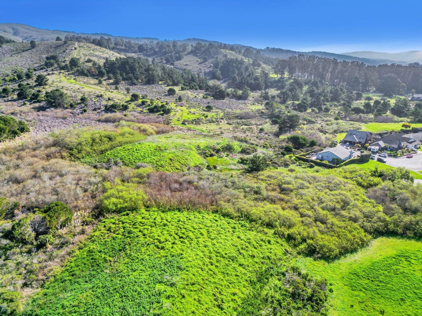 370 Bridgeport DR