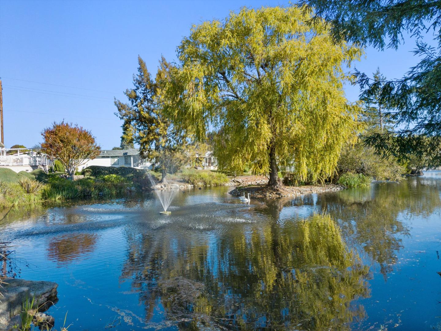 225 Mount Hermon Unit: 154