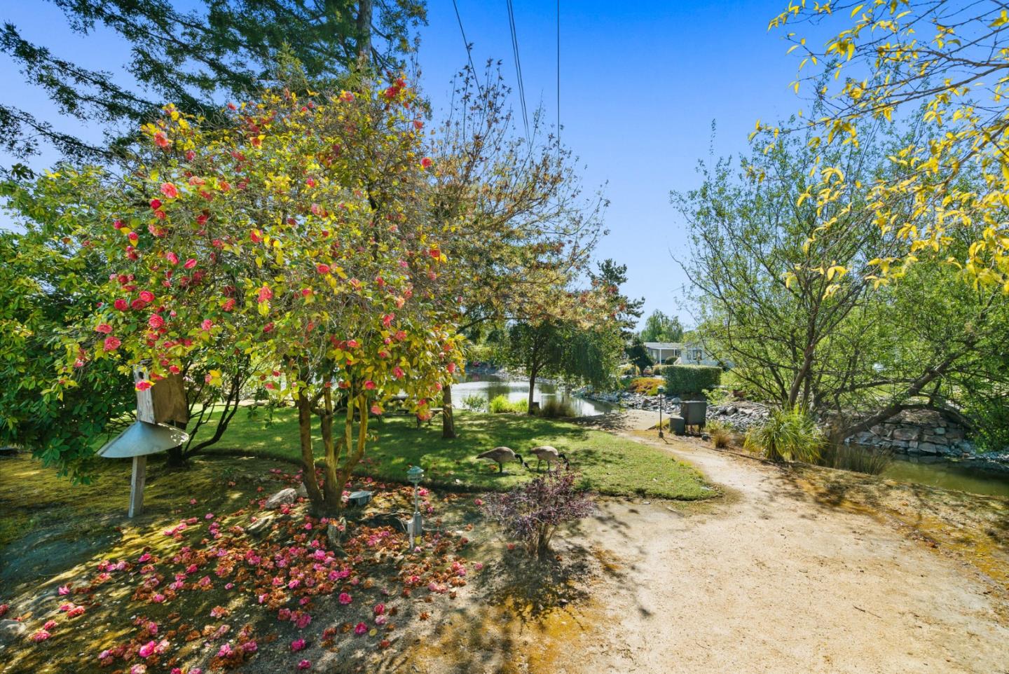 225 Mount Hermon Unit: 154