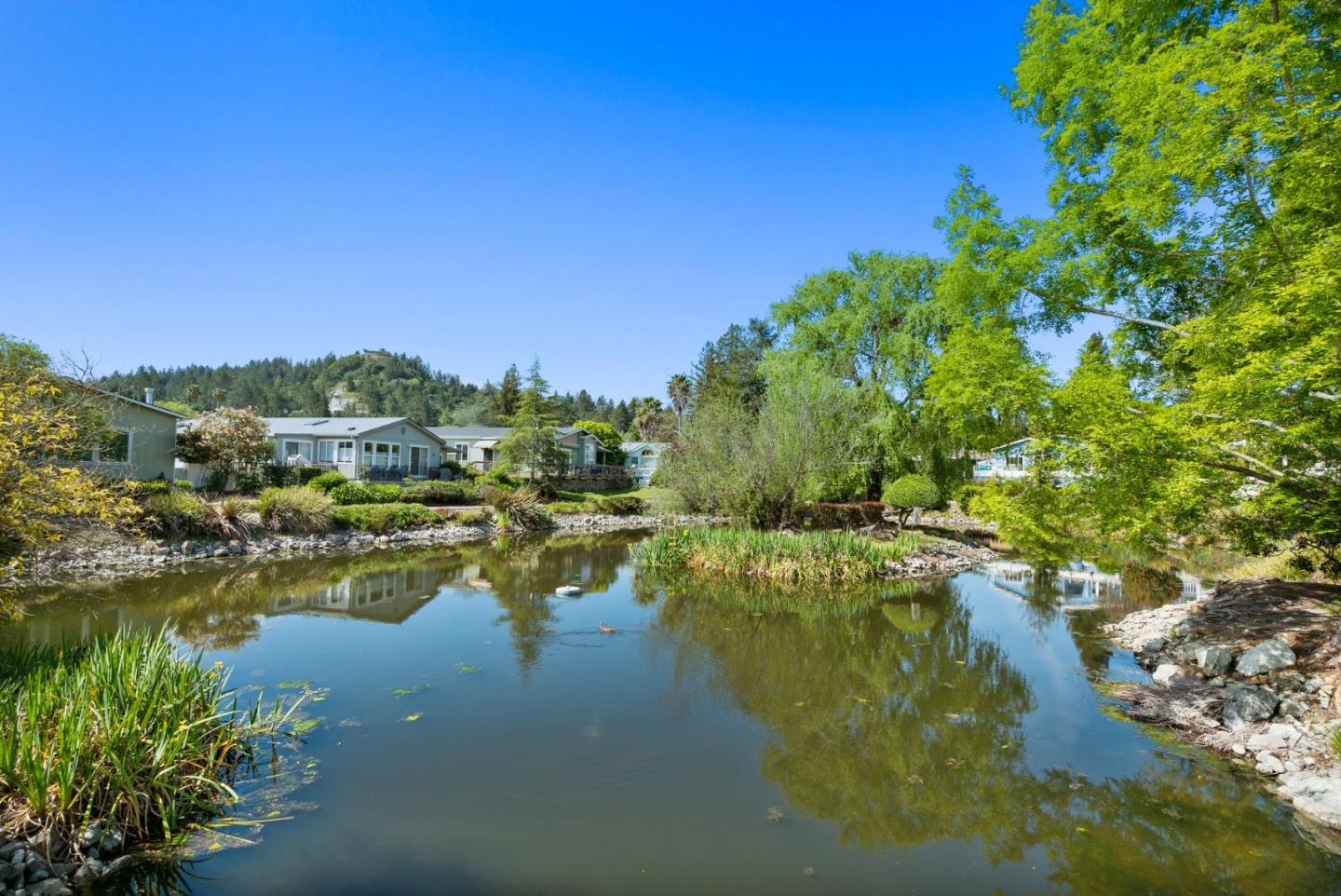 225 Mount Hermon Unit: 154