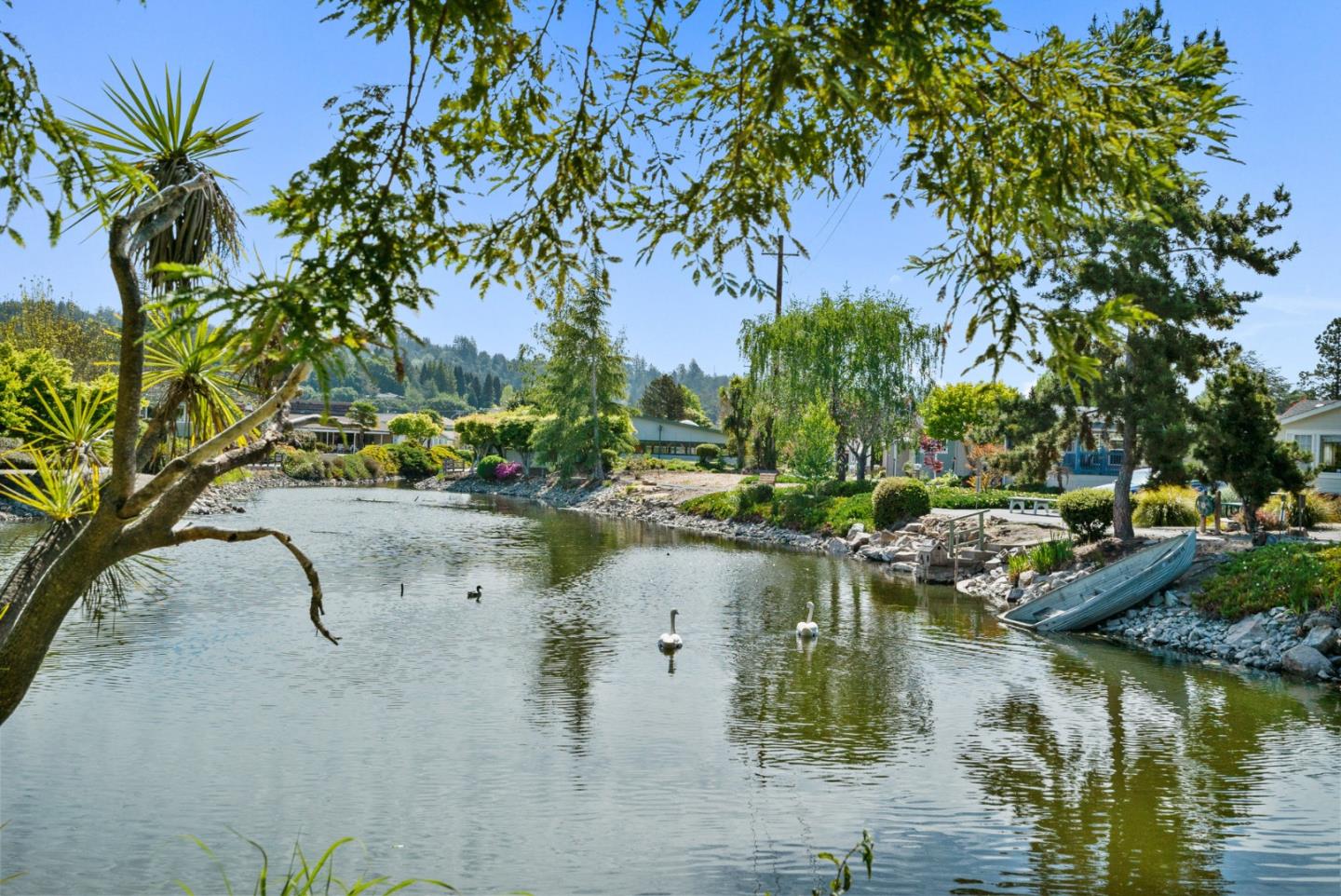 225 Mount Hermon Unit: 154