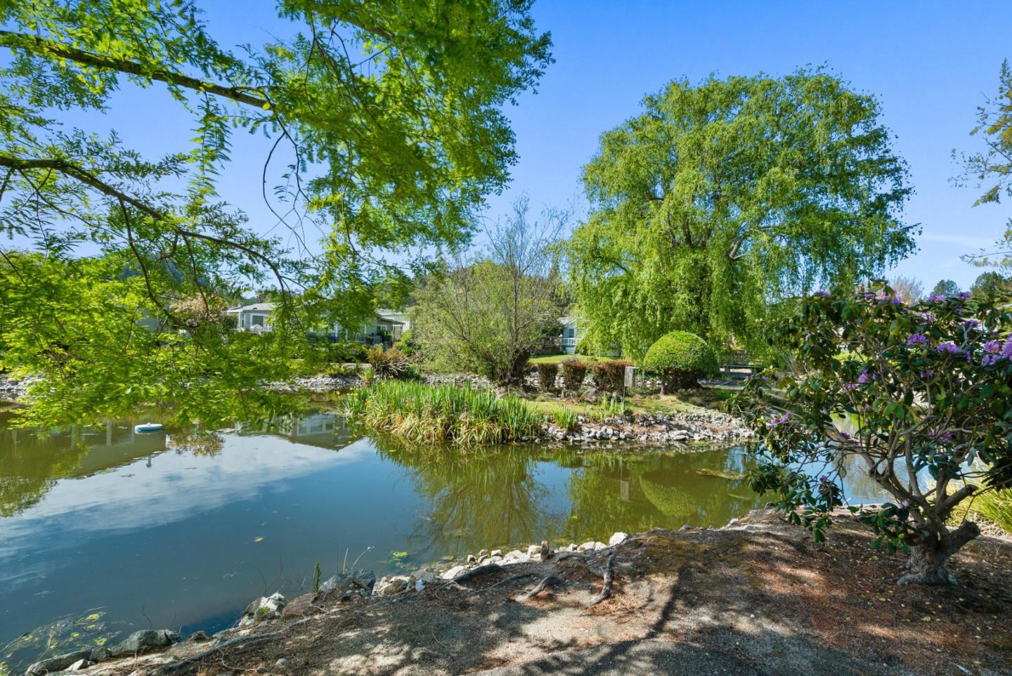 225 Mount Hermon Unit: 154