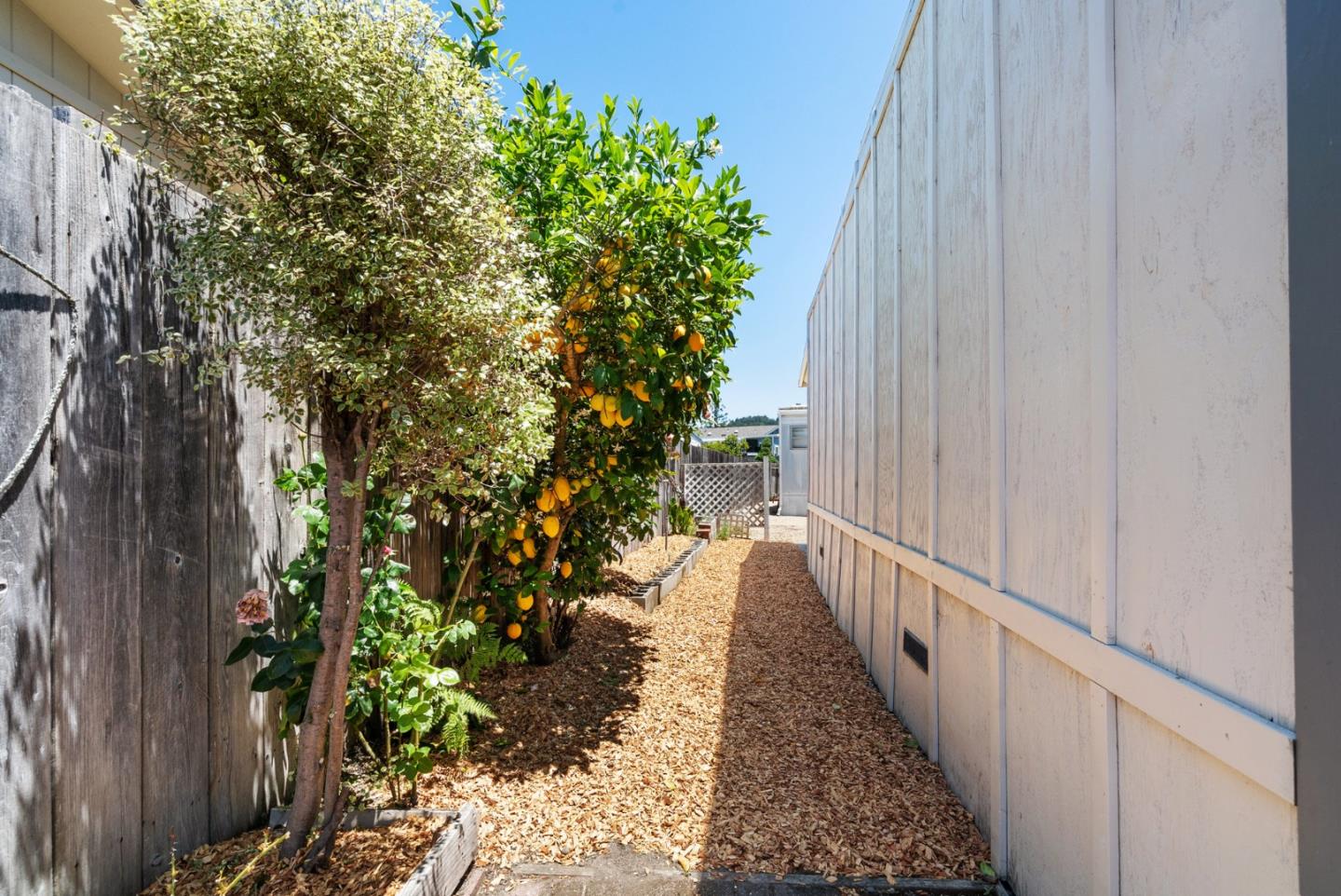 225 Mount Hermon Unit: 154