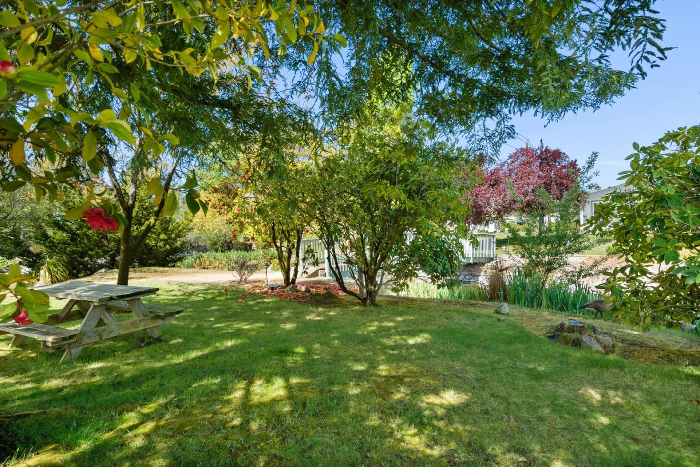 225 Mount Hermon Unit: 154