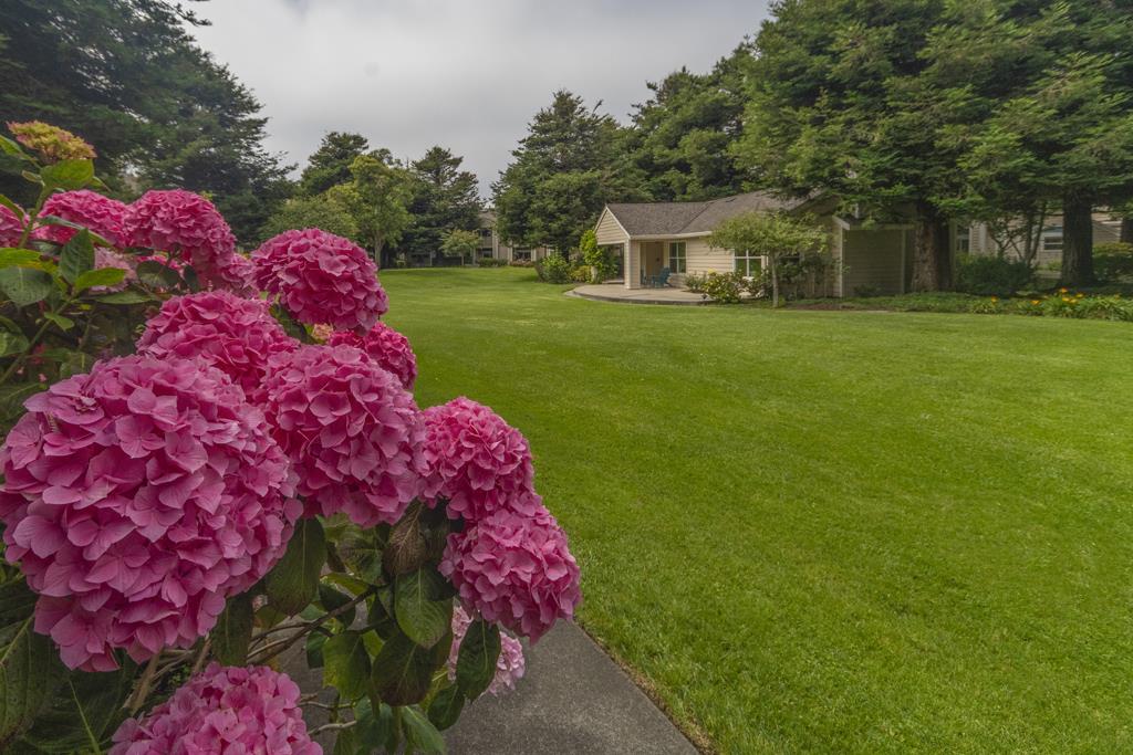 230 Amesport Landing